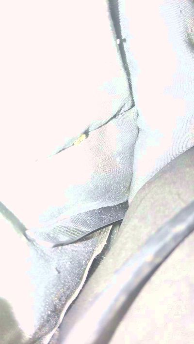 Dickswellinu69 live cam on Cam4