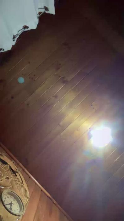 Diegopulgada live cam on Cam4
