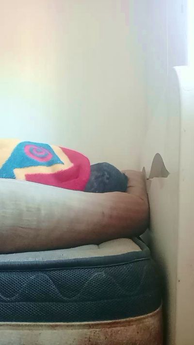 Diegoxxl3 live cam on Cam4