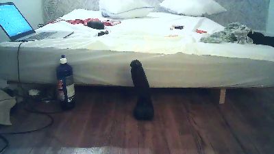 Dildoslut live cam on Cam4