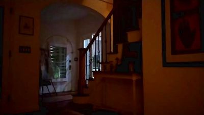 DingoDick live cam on Cam4