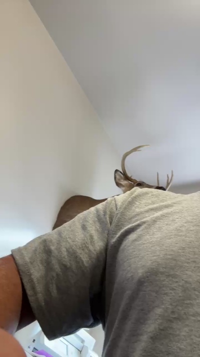 Dlucky01 live cam on Cam4