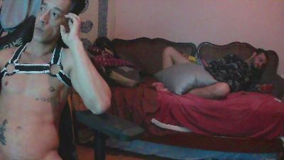 porn webcam Dogtrainingay