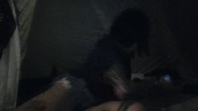 Doll_dollys_ live cam on Cam4