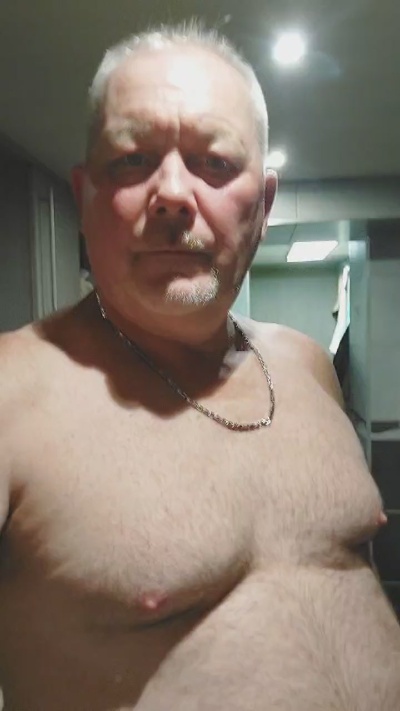 Domihengst live cam on Cam4