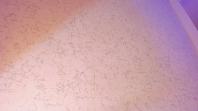DominicSccott24 live cam on Cam4