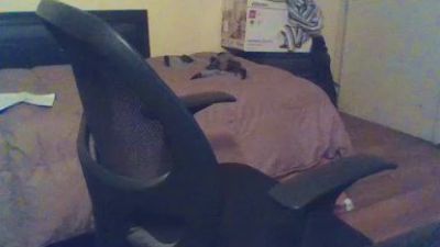 DonTortuga live cam on Cam4