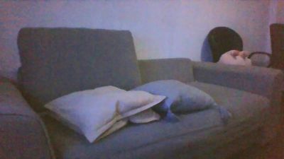 Dosmorbososcam live cam on Cam4