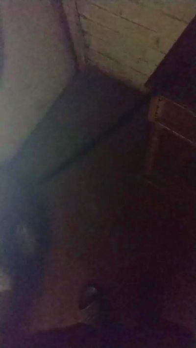 Dotado69 live cam on Cam4