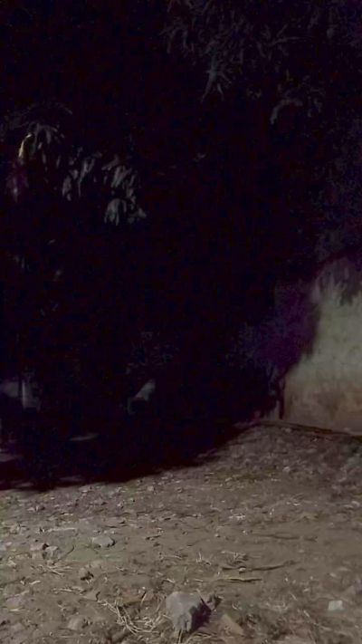 Dotados_sexy webcam hombre en vivo desde Brasil