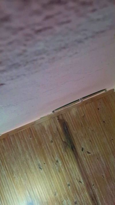 Dotdudu live cam on Cam4