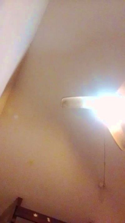 Druidacahondo live cam on Cam4