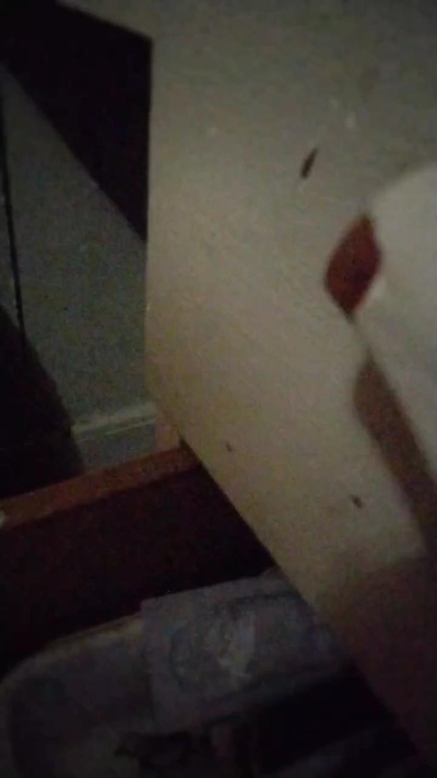 Dub69666 live webcam show