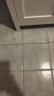 Duck20741 live cam on Cam4