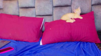 Dulcinea_Dunen live cam on Cam4