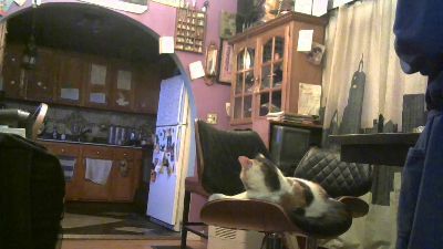 DumbMaleSlut live cam on Cam4