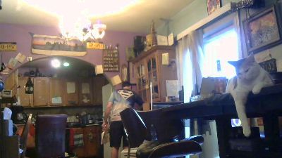 DumbMaleSlut live cam on Cam4