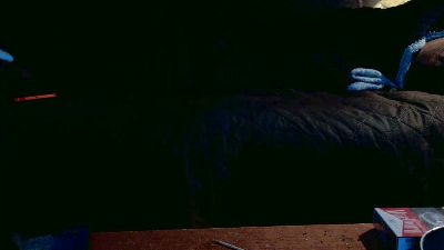 Dusty2320 live cam on Cam4