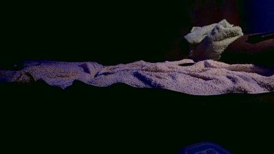 Dusty2320 live cam on Cam4