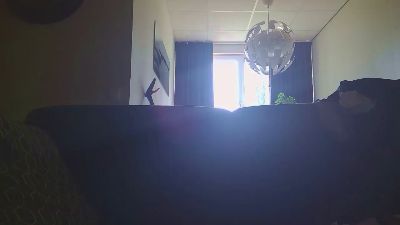 Dutchversaguy live cam on Cam4