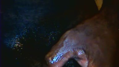 ELNegroxsalvajx live cam on Cam4