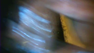ELNegroxsalvajx live cam on Cam4