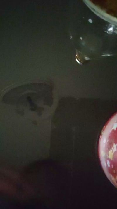 EXXXTRELLV webcam hombre en vivo desde México