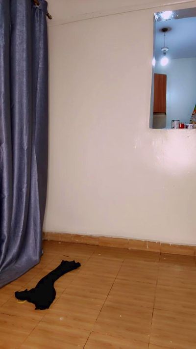 Ebbonylover live cam on Cam4