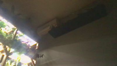 ElGOATc4 live cam on Cam4