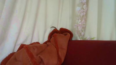 ElenaVibe2 live cam on Cam4