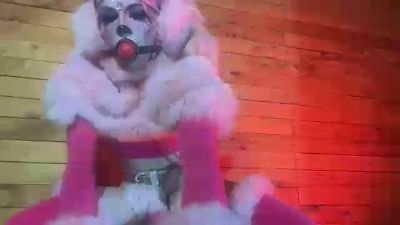 Elli_Vixen live cam on Cam4