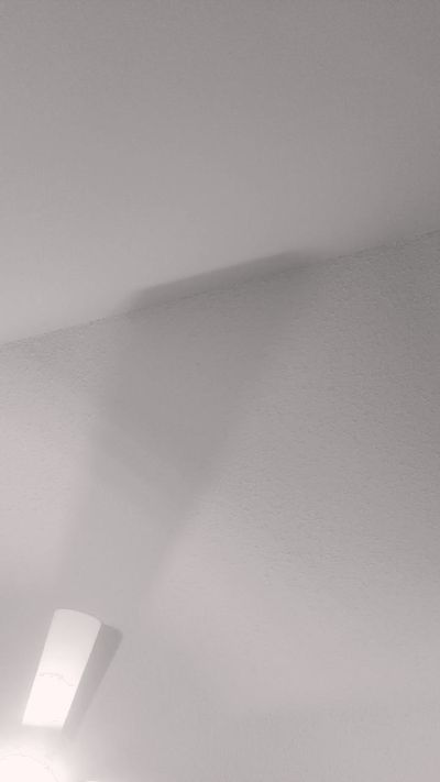 EllisD live cam on Cam4