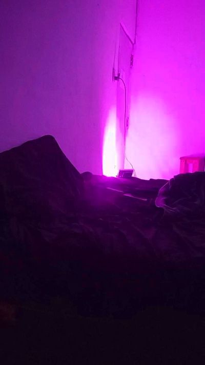 Elseptimo520 live cam on Cam4