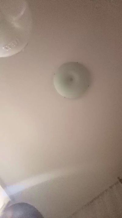 Elterrible777 live cam on Cam4