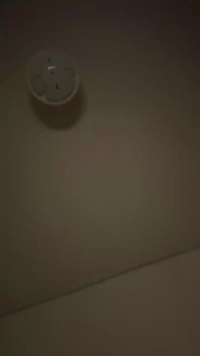 Elvergota live cam on Cam4