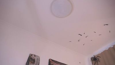 ElwynaBumford live cam on Cam4