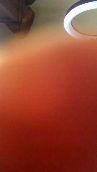 Elysa00 live cam on Cam4