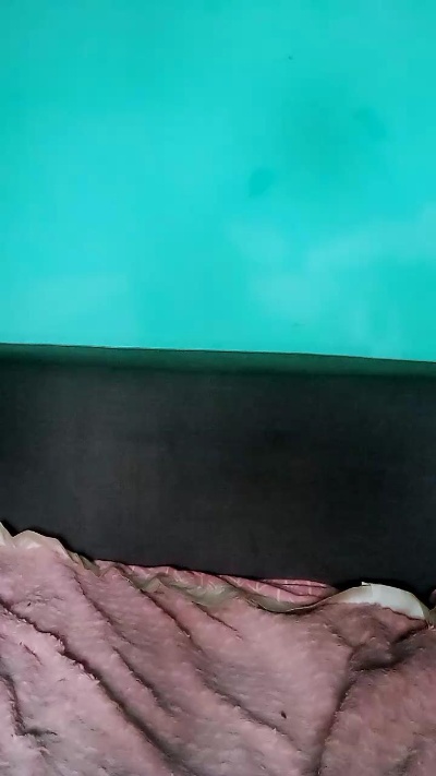 Elysca live cam on Cam4