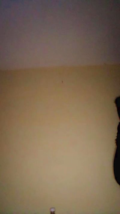Elysca live cam on Cam4