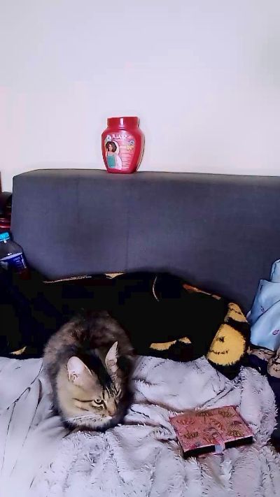 Elysca live cam on Cam4