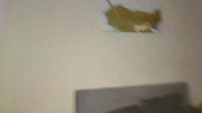 Elyse_Mates live cam on Cam4