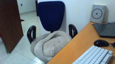 Elza54 live cam on Cam4