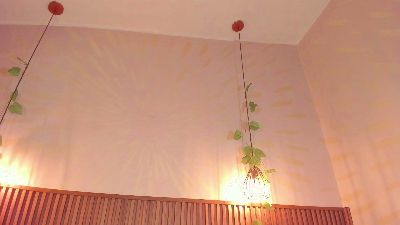 Emiily_Grace live cam on Cam4