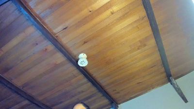EmiliWilliams live cam on Cam4