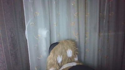 Emilia55 live cam on Cam4