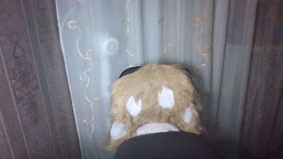 Emilia55 live cam on Cam4