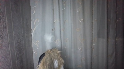 Emilia55 live cam on Cam4