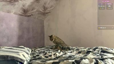 Emilisrose live cam on Cam4