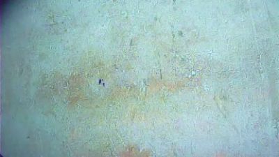 Emillie60 live cam on Cam4