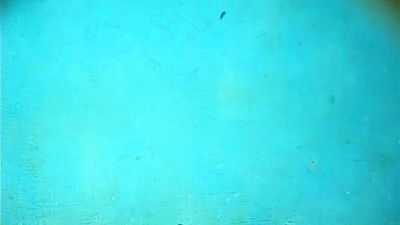 Emillie60 live cam on Cam4